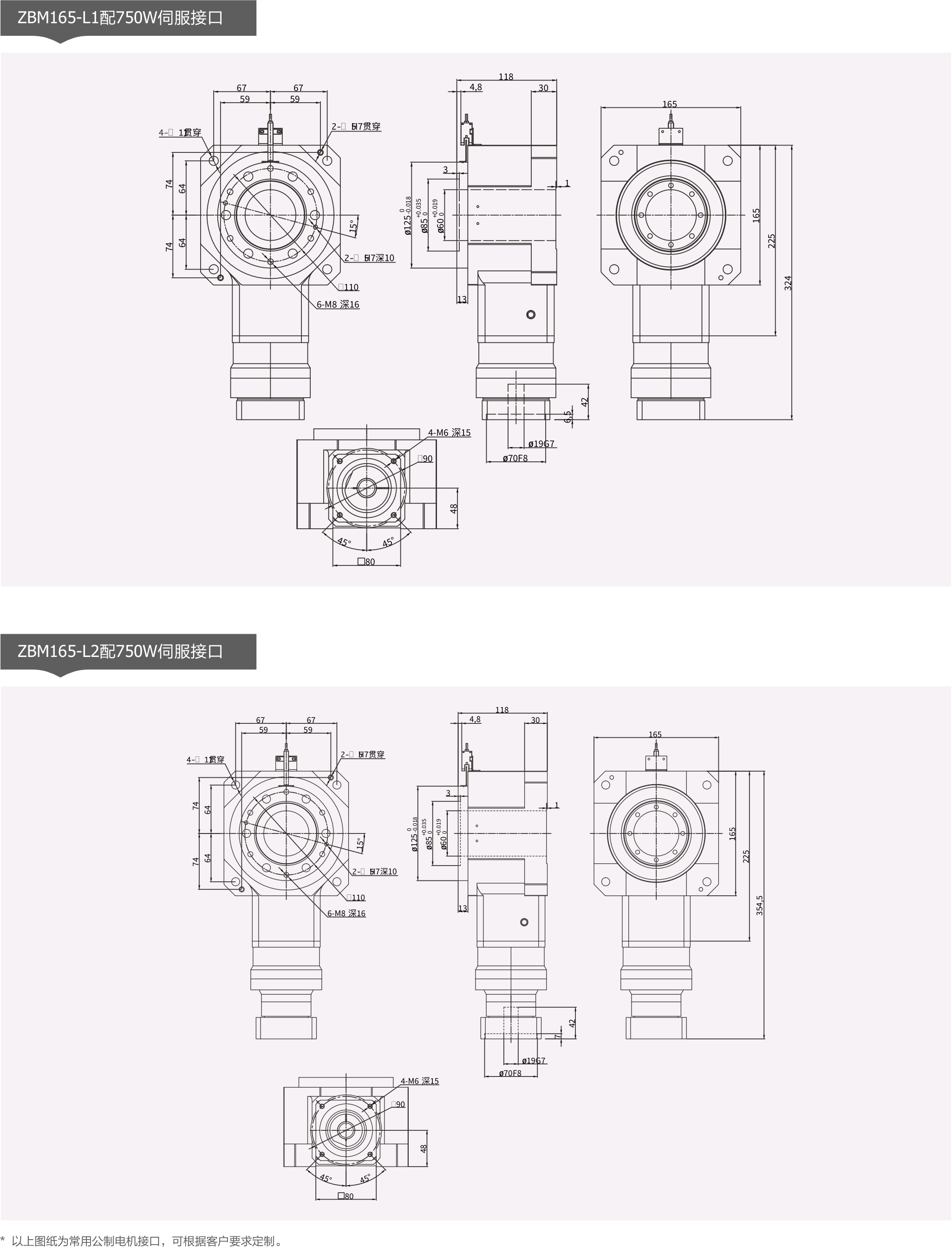 ZBM165-3.jpg